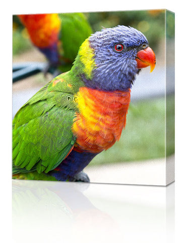 12 x 12" (30 x 30cm) Canvas Prints
