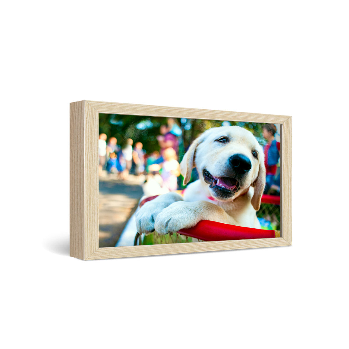 12x24" Framed Metal Print