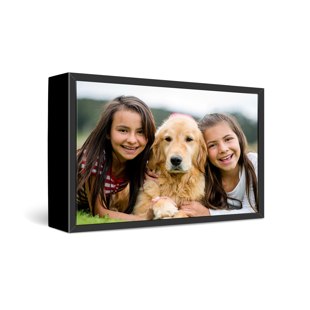 20x40" Framed Canvas Print