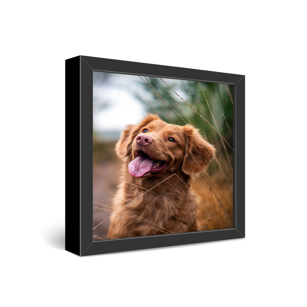 12x12" Framed Metal Print