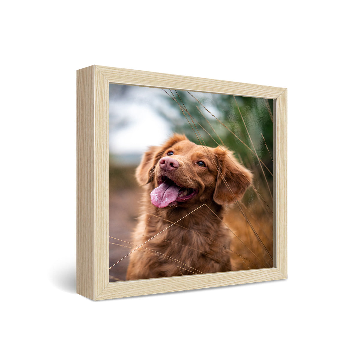 12x12" Framed Metal Print