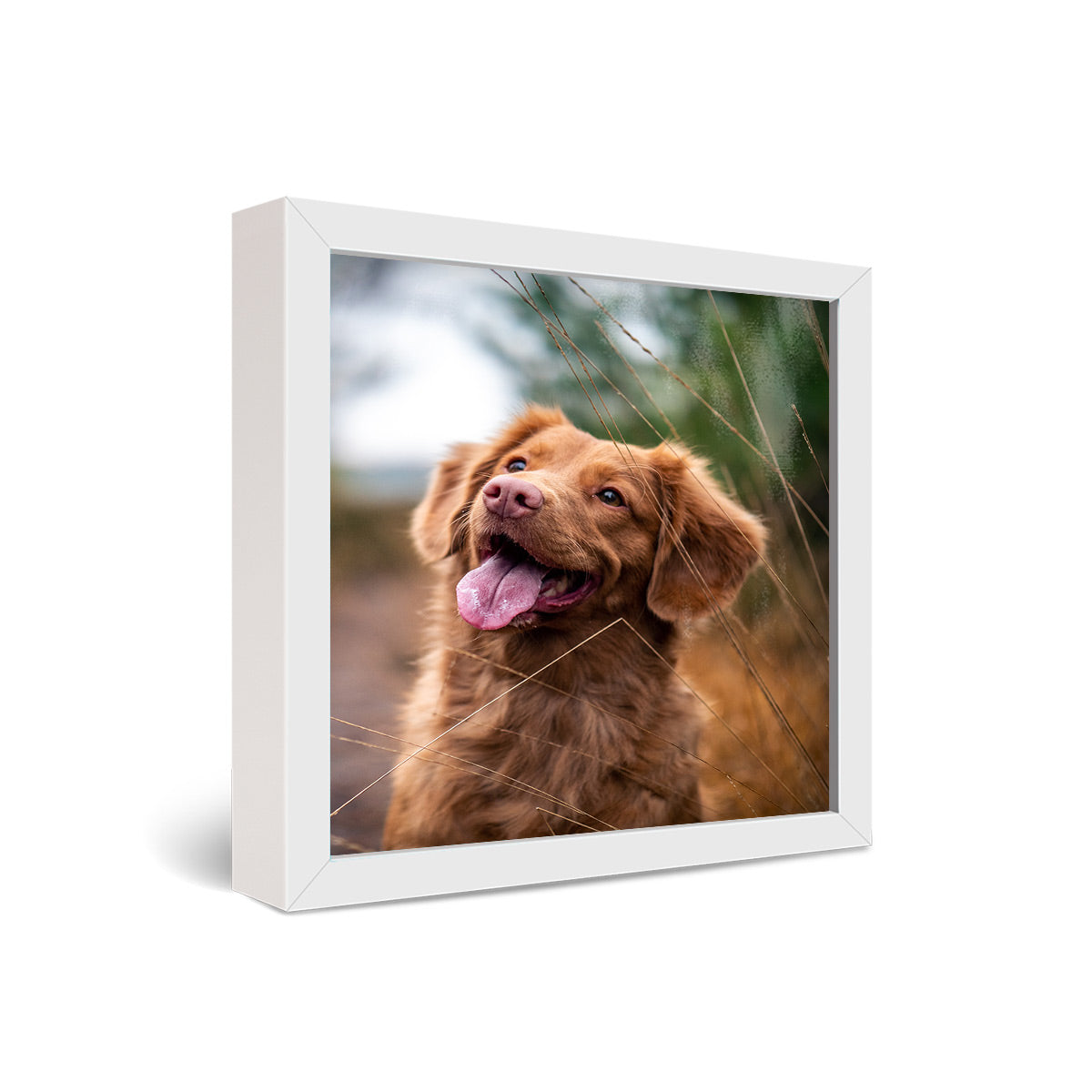 12x12" Framed Metal Print