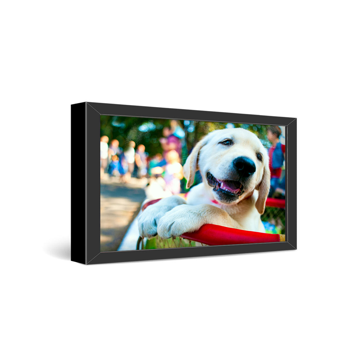 12x24" Framed Metal Print