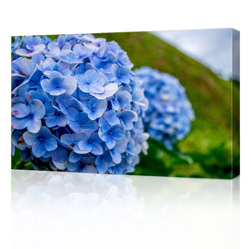 20 x 30" (50x 76cm) Canvas Prints