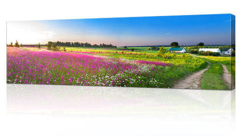 20 x 60" (50x 152cm) Canvas Prints
