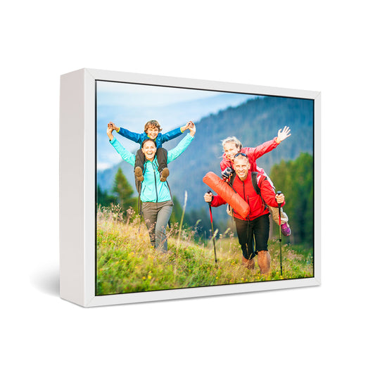 20x60" Framed Canvas Print