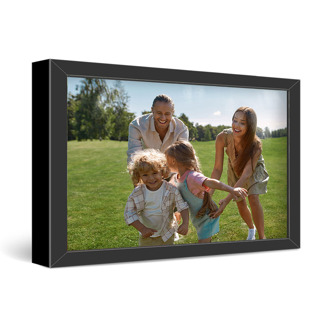 30x40" Framed Metal Print