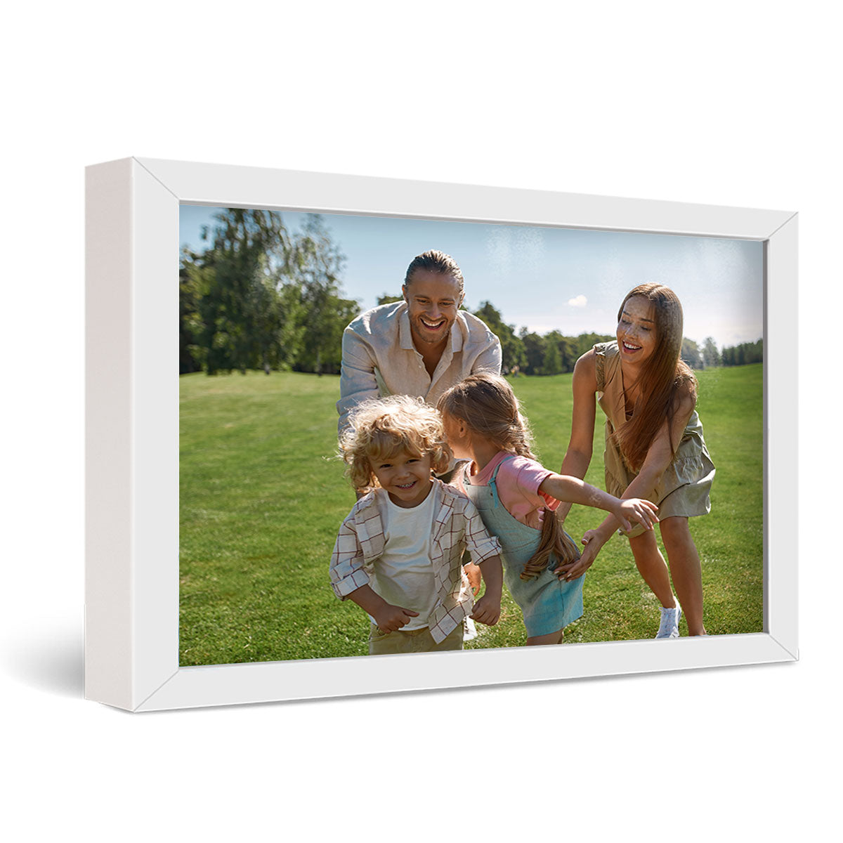 30x40" Framed Metal Print