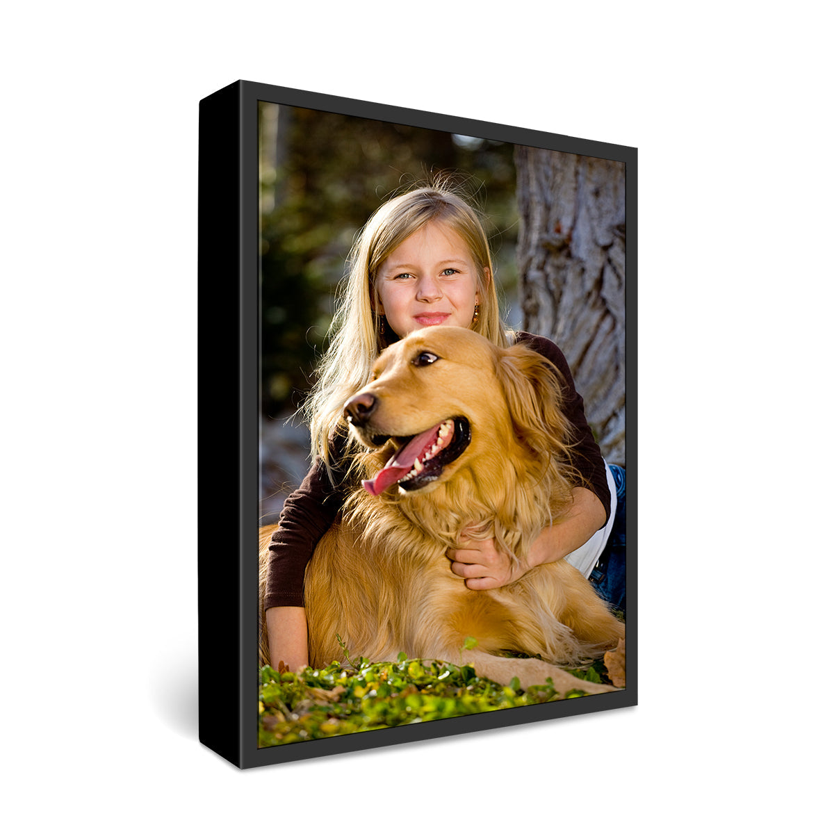 8x12" Framed Canvas Print